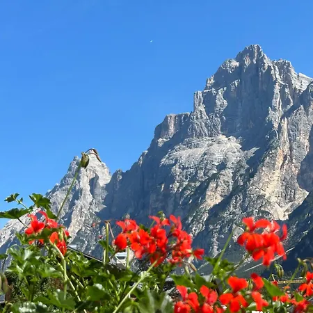 Al Hotel San Vito di Cadore